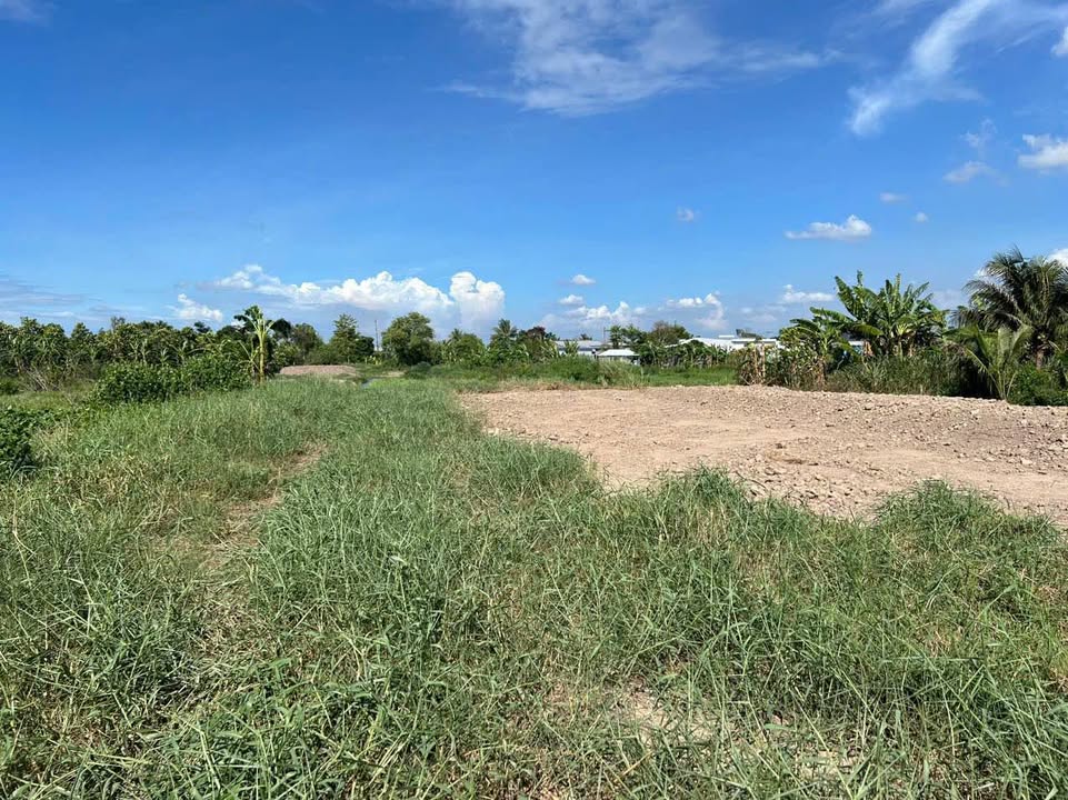 Đất thổ cư 14,000m² mặt tiền 60m tại xã Mỹ Quý, Đồng Tháp - Giá thỏa thuận hợp lý!