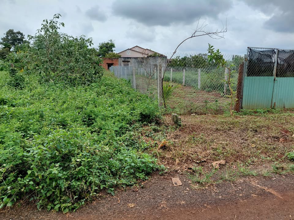 Đất Thống Nhất Cũ Buôn Hồ 200m² giá 560 triệu - Vị trí đắc địa gần QL14!