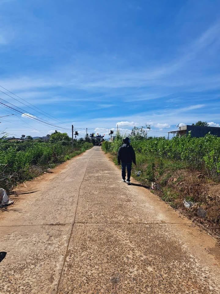 Đất mặt tiền Tân Hội, Đức Trọng 430m² giá 1.65 tỷ - Cơ hội đầu tư hấp dẫn!