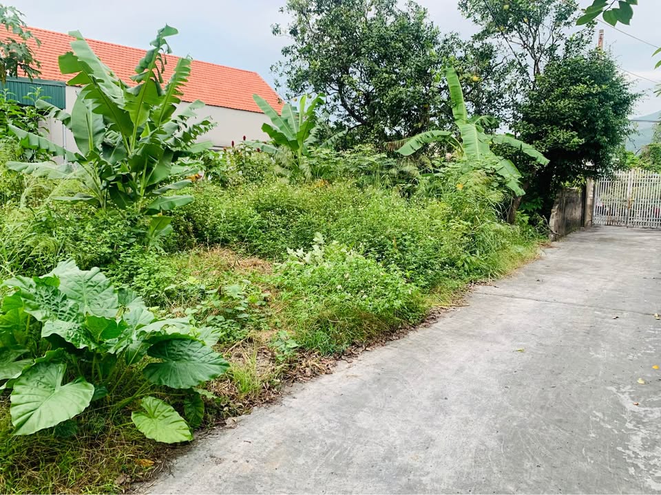 Đất nền góc Quang Trung, Mạo Khê 89m² giá 700 triệu - Cơ hội đầu tư tuyệt vời!