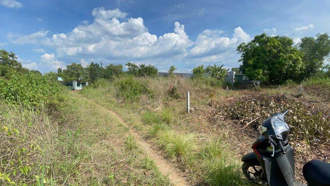 Đất thổ cư xã Phú Hòa - 155m² giá 3xx triệu - Cách trường học chỉ 300m!