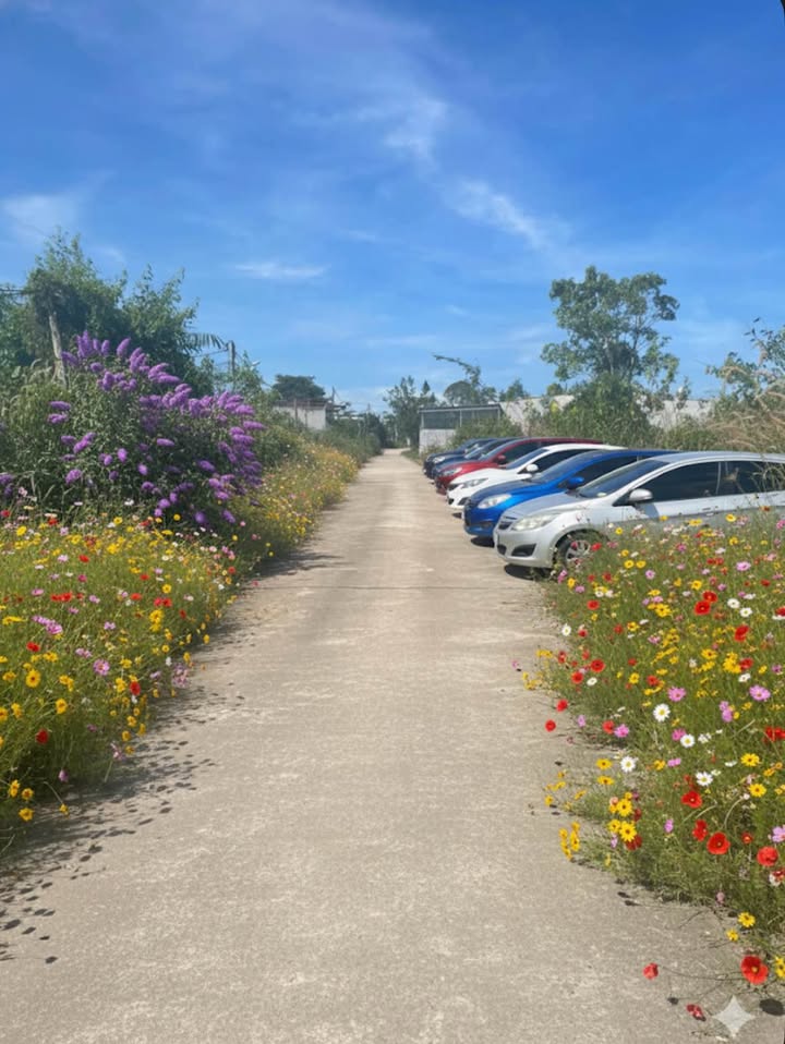 Đất thổ cư 360m² tại Thôn 9, Đak Cấm - Giá thỏa thuận hấp dẫn!