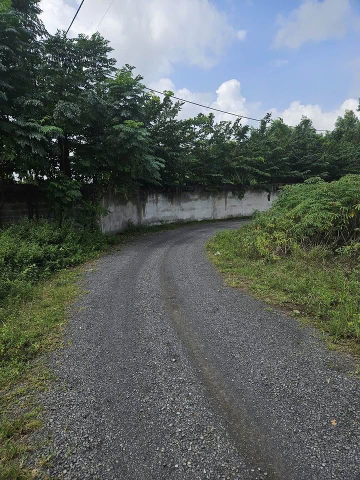 Đất nền Phước Long Thọ 1430m² giá 1.5 tỷ - Đầu tư sinh lời nhanh chóng!