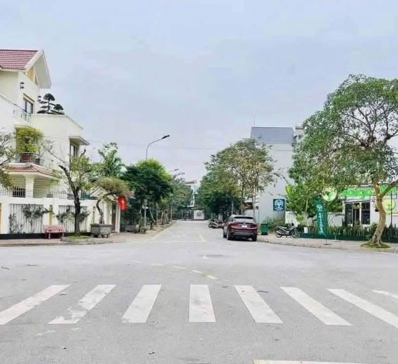 Đất nền khu đô thị Tuệ Tĩnh, Hải Dương 143m², giá mềm - Đầu tư lý tưởng!