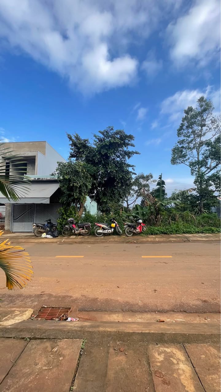 Đất nền đường Nguyễn Thế Lịch, Pleiku 285m² giá 3.6 tỷ - Cơ hội đầu tư tuyệt vời!