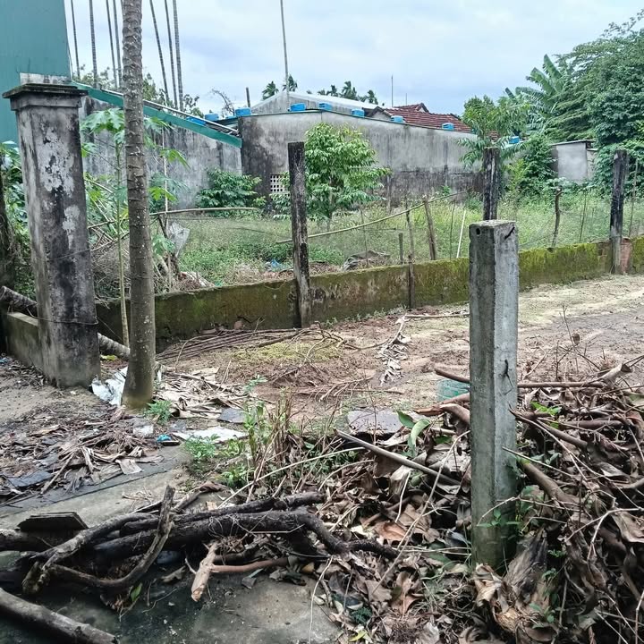 Đất nền hẻm Nguyễn Thông, Quảng Ngãi 151m² giá 700 triệu - Cơ hội đầu tư hấp dẫn!