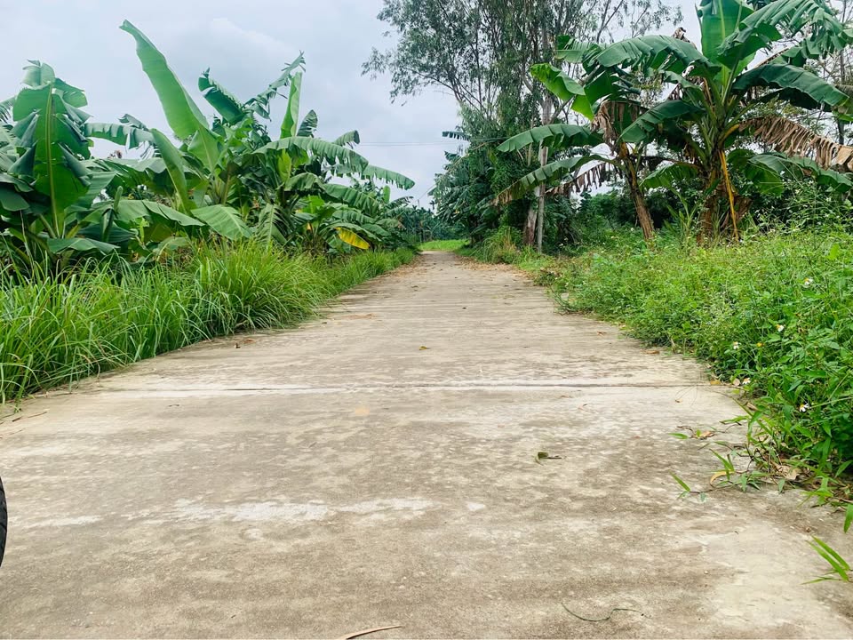 Đất nền Hành Phước, Nghĩa Hành 128m² giá 275 triệu - Cơ hội đầu tư hấp dẫn!