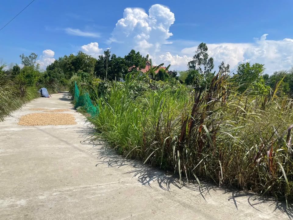 Đất nền 1000m² hai mặt tiền đường Bình Nguyên - Thăng Bình giá chỉ 650 triệu