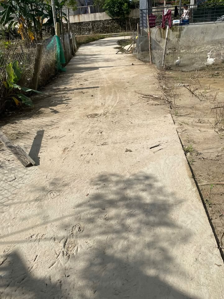 Đất nền Điện Bàn 250m² giá 1.8 tỷ - Cơ hội đầu tư hấp dẫn!