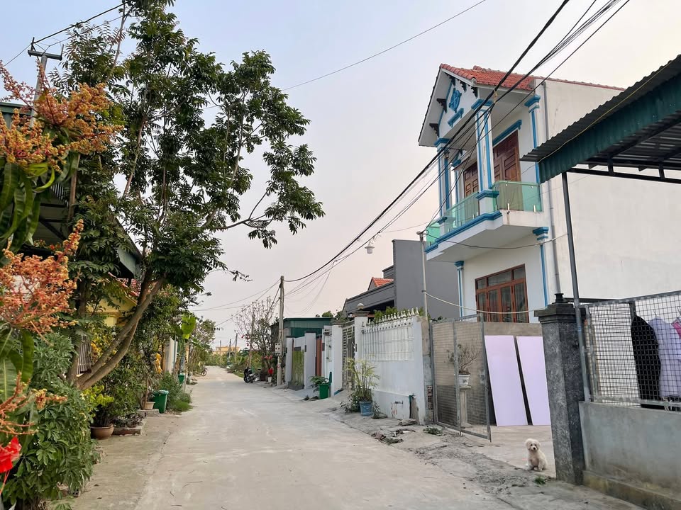 Đất nền Quảng Yên, Phong Cốc 200m² - Đầu tư sinh lời với dòng tiền ổn định!