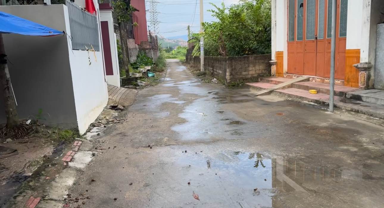 Đất nền 295m² tại khu phố 1 Quang Trung, Uông Bí - Giá chỉ 1 tỷ VND