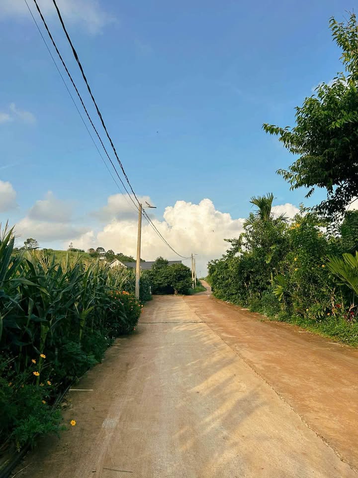 Đất nền tại xã Mê Linh, Lâm Hà 234m² giá 780 triệu - Đầu tư nghỉ dưỡng lý tưởng!