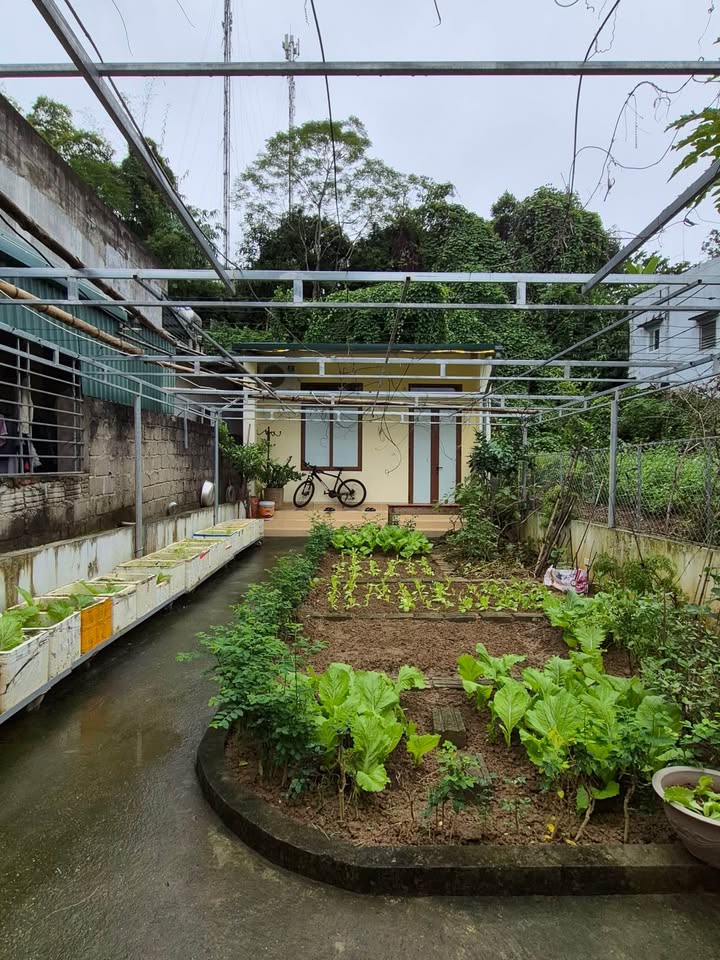 Nhà cấp 4 phường Minh Xuân 150m² giá 2 tỷ - Chính chủ bán gấp!