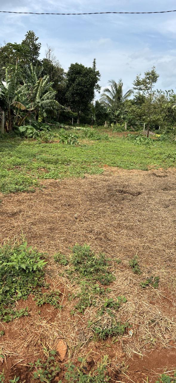 Đất nền Buôn Pan, Ea Yông, 500m² giá 5 tỷ - Đầu tư sinh lời nhanh!