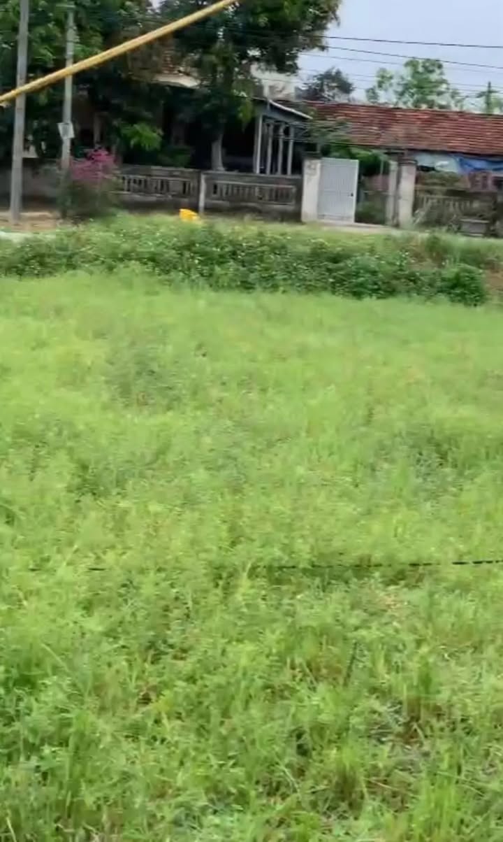 Đất nền chính chủ khu Kim Trung, Vinh Phú, 75m² giá chỉ 1.79 tỷ - Đầu tư sinh lời cao!