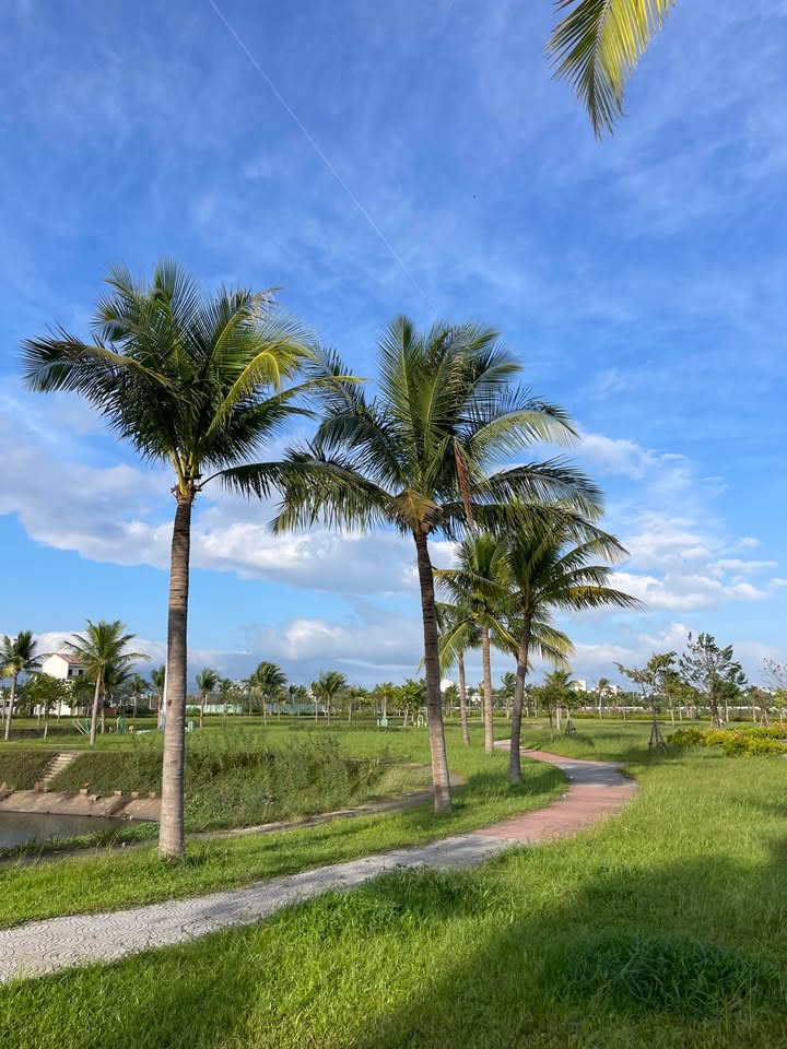 Đất dự án Nam Hoà Xuân - Đà Nẵng 140m² giá từ 4.879 tỷ - Cơ hội đầu tư sinh lời cao!