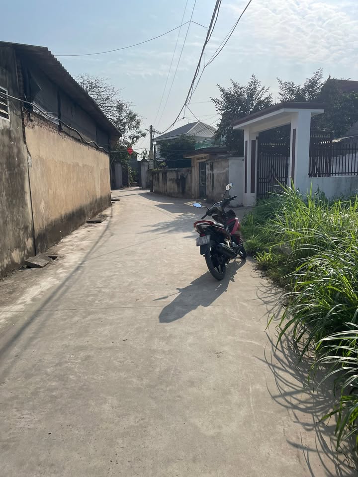 Đất nền Tân Hương 125m² giá 1 tỷ - Đầu tư sinh lời ngay!