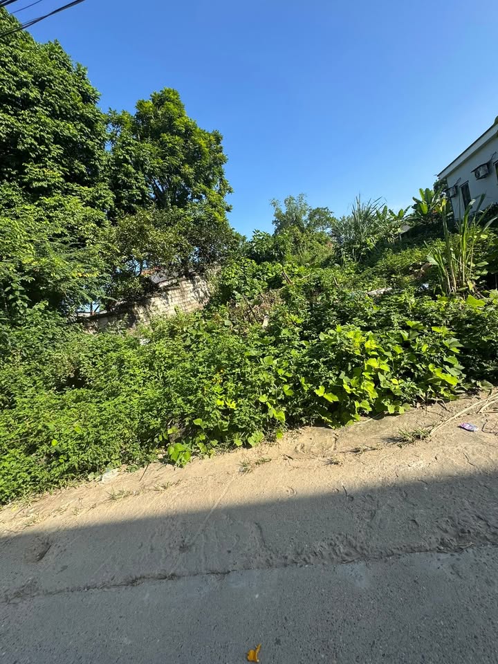 Đất Thịnh Đán 131m² giá 3 tỷ - Gần trường học và chợ Đán