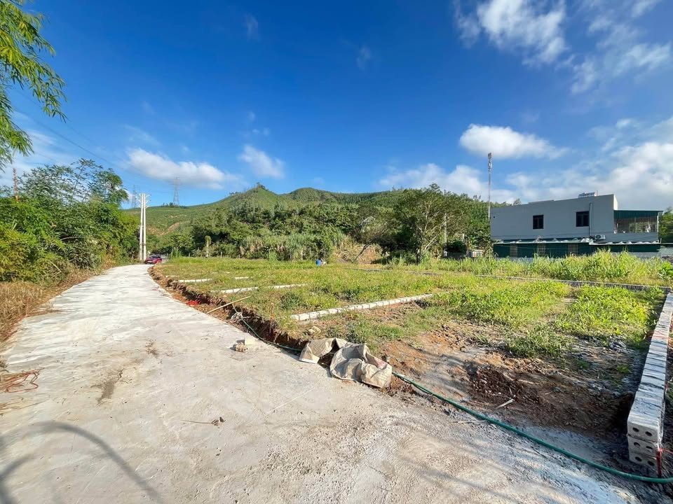 Đất nền phường Hoành Bồ 81m² giá đầu tư - Cách đường chính chỉ 50m!