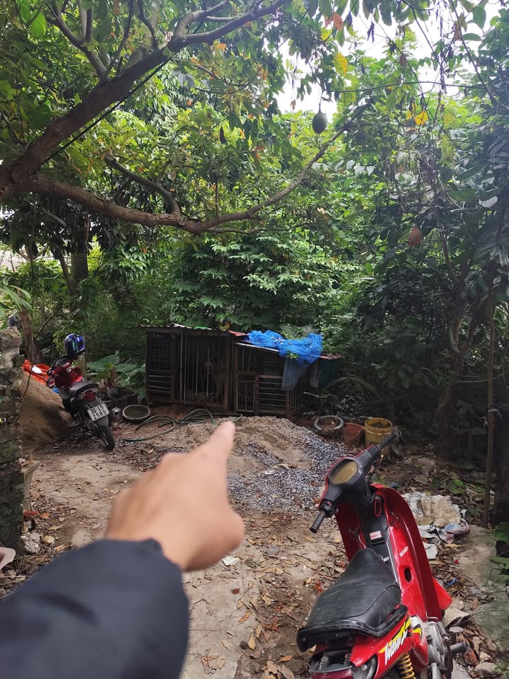 Đất nền đẹp tại Mỹ Nội, Đông Anh 93.5m² - Giá đầu tư hấp dẫn chỉ 4.855 tỷ!