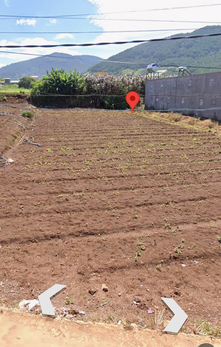 Đất nền Hiệp Thạnh, Đức Trọng 332m² giá 2.6 tỷ - Khu dân cư yên tĩnh, gần chợ và trường học!