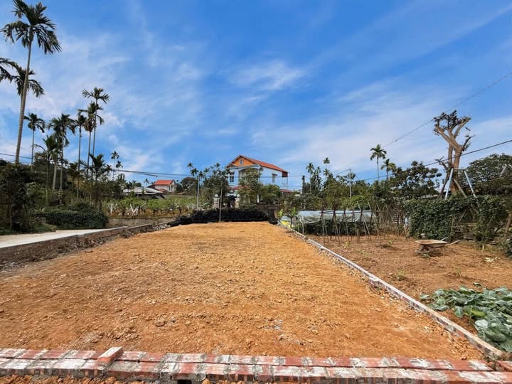 Đất nền lô góc 113,8m² tại khu đô thị Yên Bái Riverside giá chỉ 1 tỷ - Cơ hội đầu tư sinh lời!