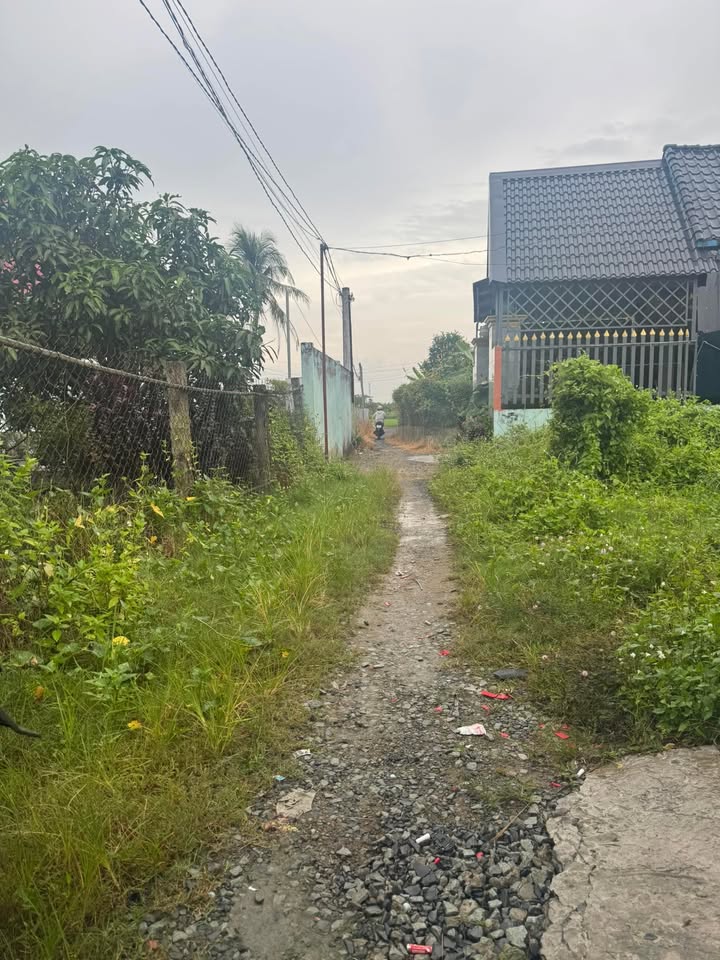 Nhà cấp 4 Nhựt Chánh 110m² giá 1 tỷ - Sẵn sàng vào ở ngay!