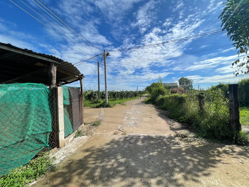 Bán đất cây trồng xã Hàm Liêm, huyện Hàm Thuận Bắc 2.397m² - Vị trí đẹp, giá tốt!