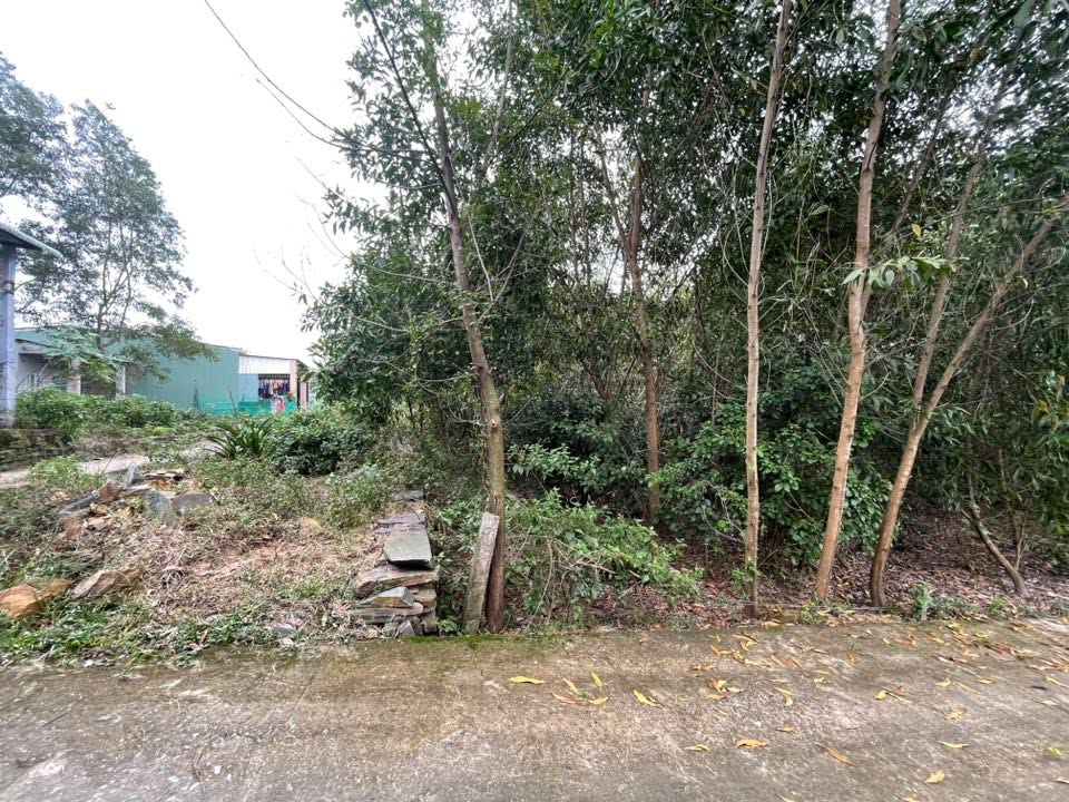 Đất nền Hòa Sơn Đà Nẵng 185m² giá chỉ 1.07 tỷ - Vị trí đẹp, tiện ích xung quanh