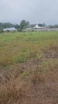 Đất thổ cư Xóm Đồng, Gò Dầu, Tây Ninh 110m² giá chỉ 320 triệu - Cơ hội đầu tư sinh lời!