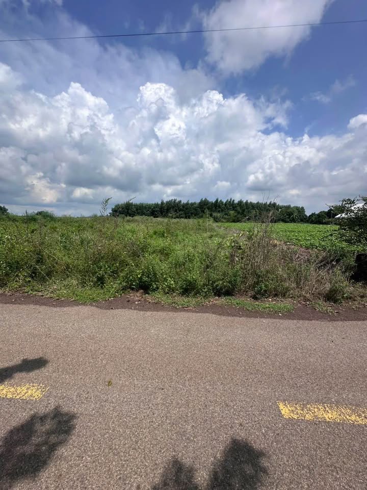 Đất nền 1 sào 4 tại xã Phước Long Thọ, Đất Đỏ - Giá chỉ 1 tỷ!