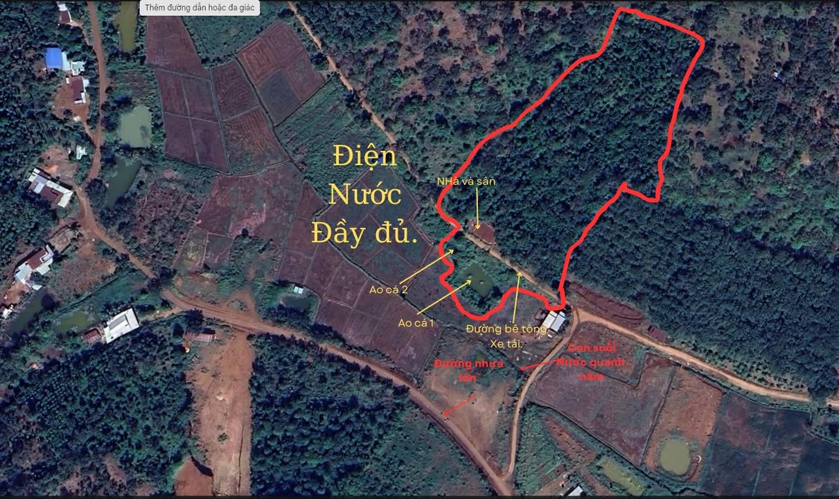 Đất Farm Phú Văn Bù Gia Mập 12.502m² giá 450 triệu - Nguồn thu ổn định!