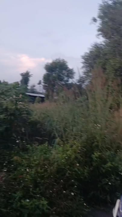 Đất nền 4900m² tại ấp 1, xã Xuân Sơn, Châu Đức giá 2.55 tỷ - Sổ đỏ chính chủ!