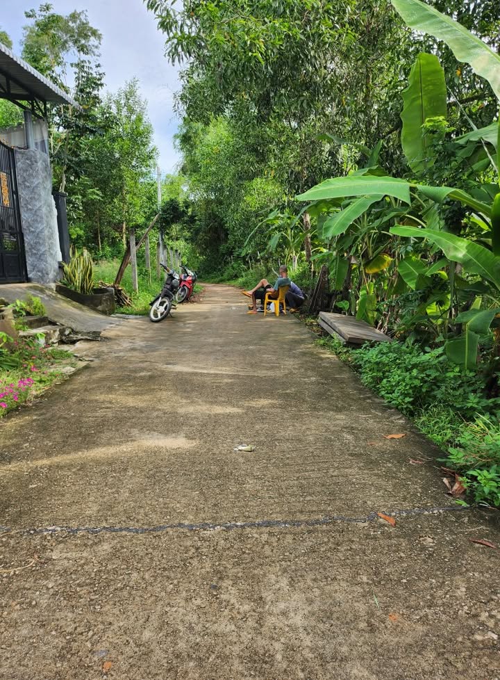 Đất nền Duy Hòa 450m² giá 1.2 tỷ - Vị trí thuận lợi, tiềm năng phát triển!