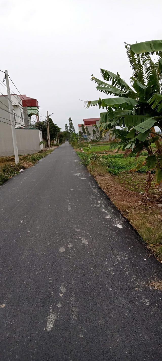 Đất nền trục chính giãn dân Kim Chân, Bắc Ninh 120m² giá 3 tỷ - Đầu tư sinh lời ngay!