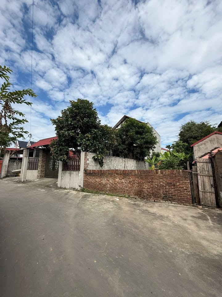 Đất nền Hương Gián, Yên Dũng 125m² giá chỉ 3.xxx - Cơ hội đầu tư hấp dẫn!