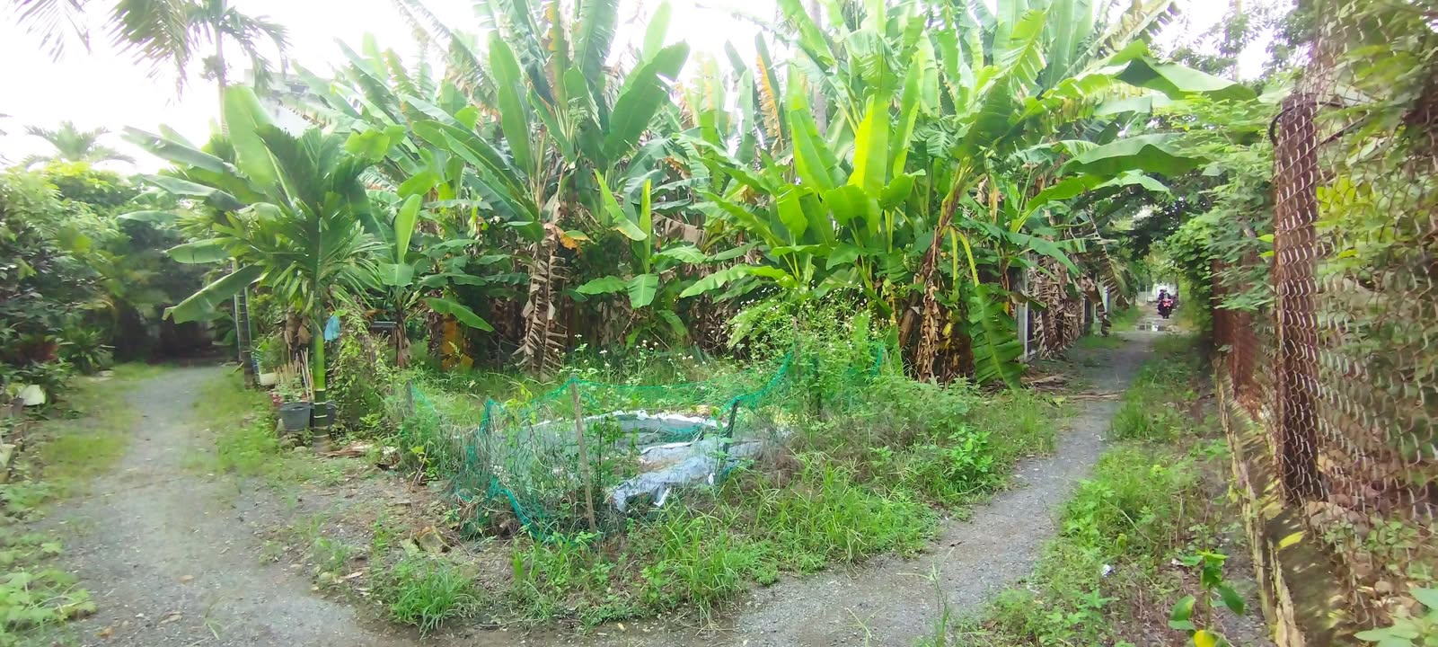 Đất nền Ngọc Hiệp Nha Trang 209,6m² giá 9 tỷ - Lô góc 3 mặt tiền đắc địa!