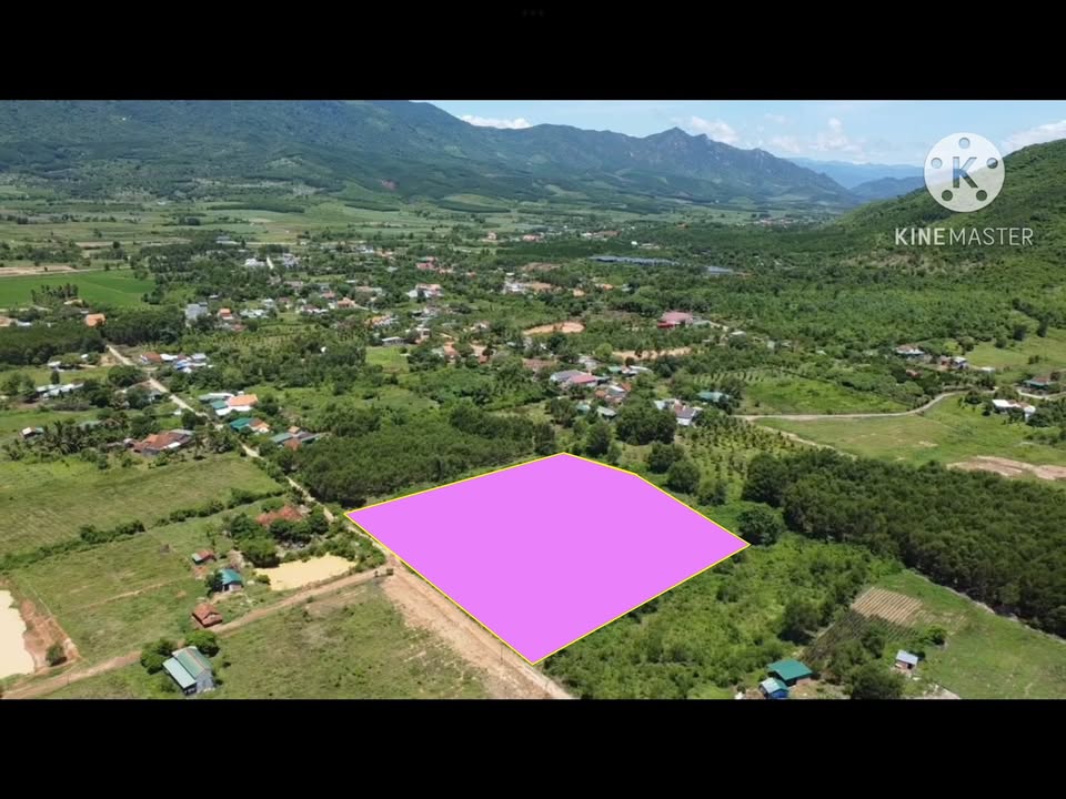 Đất thổ cư Ninh Tân 3119m² giá 1.8 tỷ - Sổ đỏ chính chủ, gần KCN!