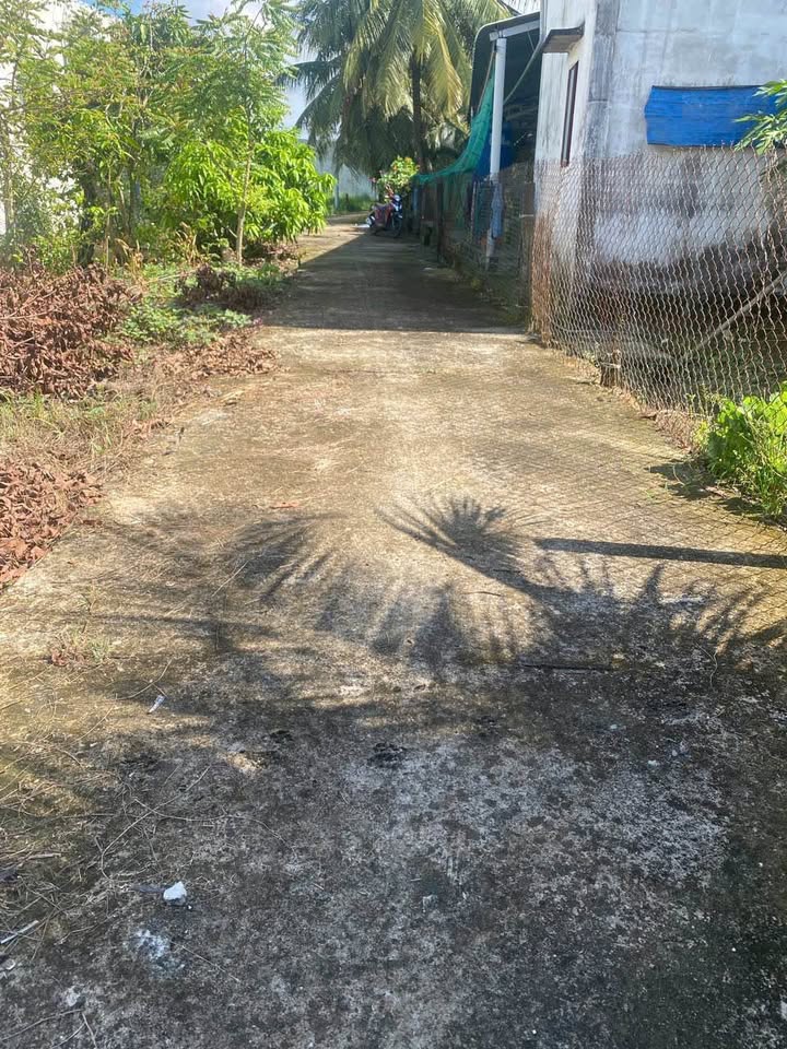 Đất thổ cư An Vĩnh Ngãi 1800m² giá 7.2 tỷ - Đường ô tô 7 chỗ vào tận nơi!