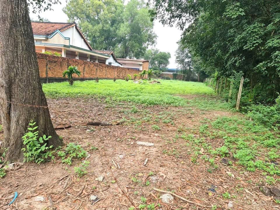 Đất nền 1416m² Tân Thạnh Tây, Củ Chi - Phù hợp xây dựng nhà xưởng!