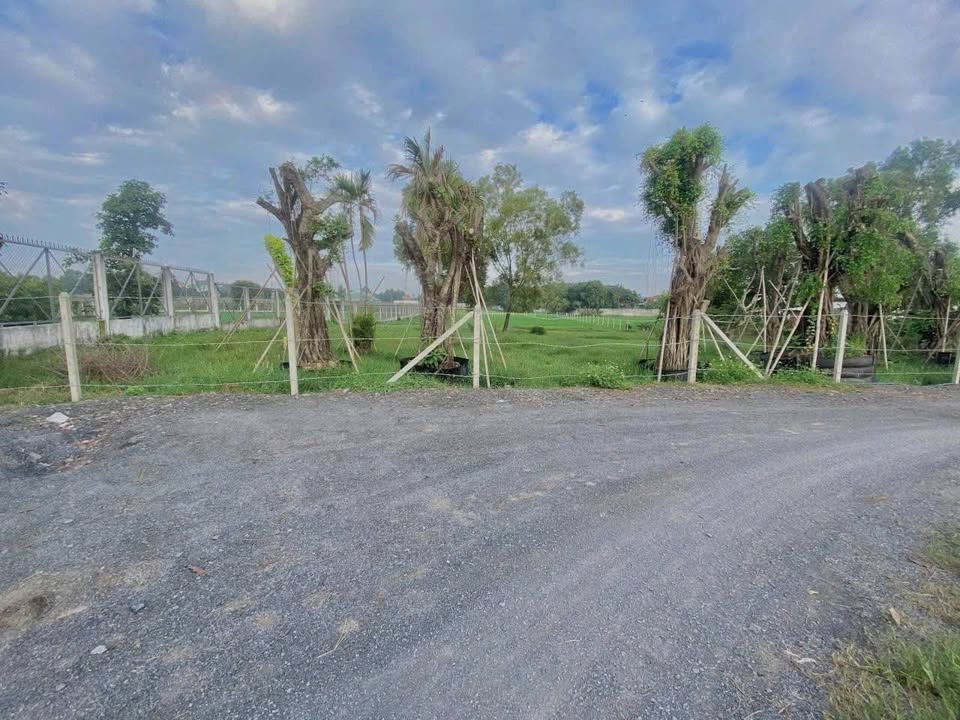 Đất vườn Phước Vĩnh An, Củ Chi 4623m² giá 11.5 tỷ - Cơ hội đầu tư hấp dẫn!