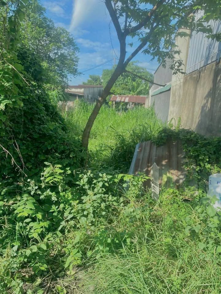 Đất thổ cư Tân Thạnh Đông Củ Chi 162m² giá 1.9 tỷ - Đầu tư sinh lời ngay!