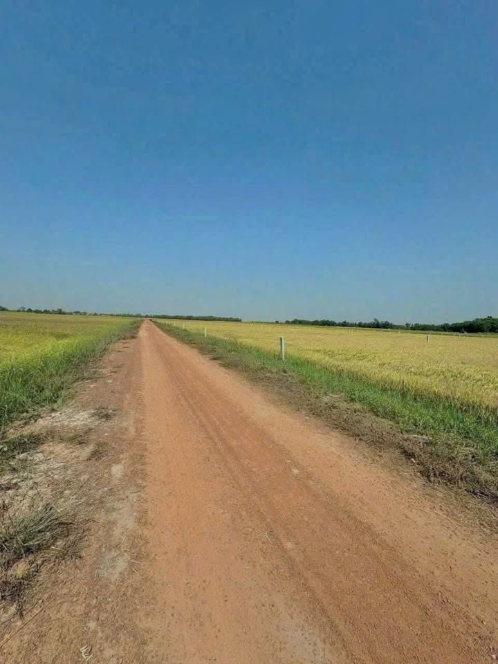 Đất lúa mặt tiền đường Ông Công, Củ Chi 1184m² giá 2 tỷ - Tiềm năng đầu tư lớn!