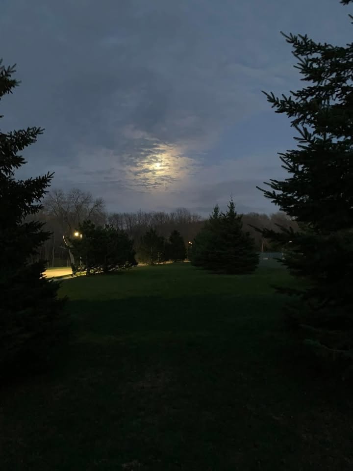 Đất Củ Chi 16.000m² giá 38 tỷ - Mặt tiền đường xe công