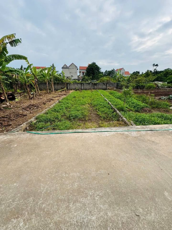 Đất nền Chương Dương, Thường Tín 58.2m² giá 2.3 tỷ - Đường ô tô vào tận nơi!