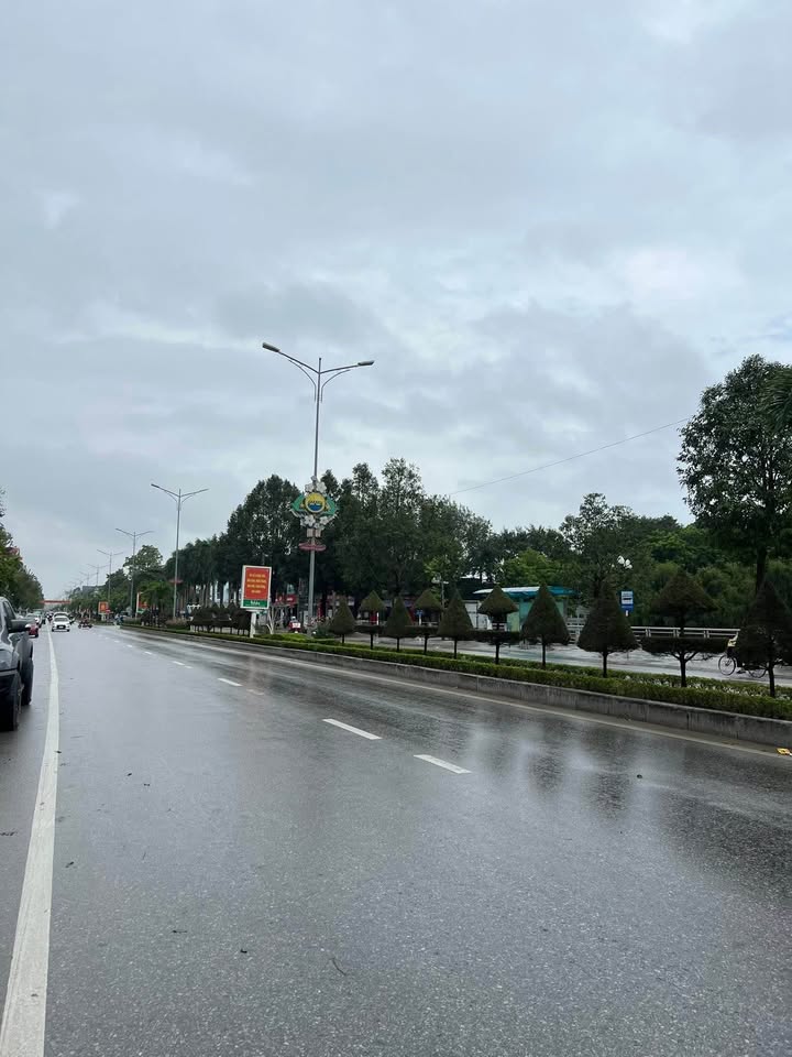 Đất vàng mặt tiền Quang Trung, TP Thanh Hóa 125m² giá 12 tỷ - Vị trí kinh doanh lý tưởng!