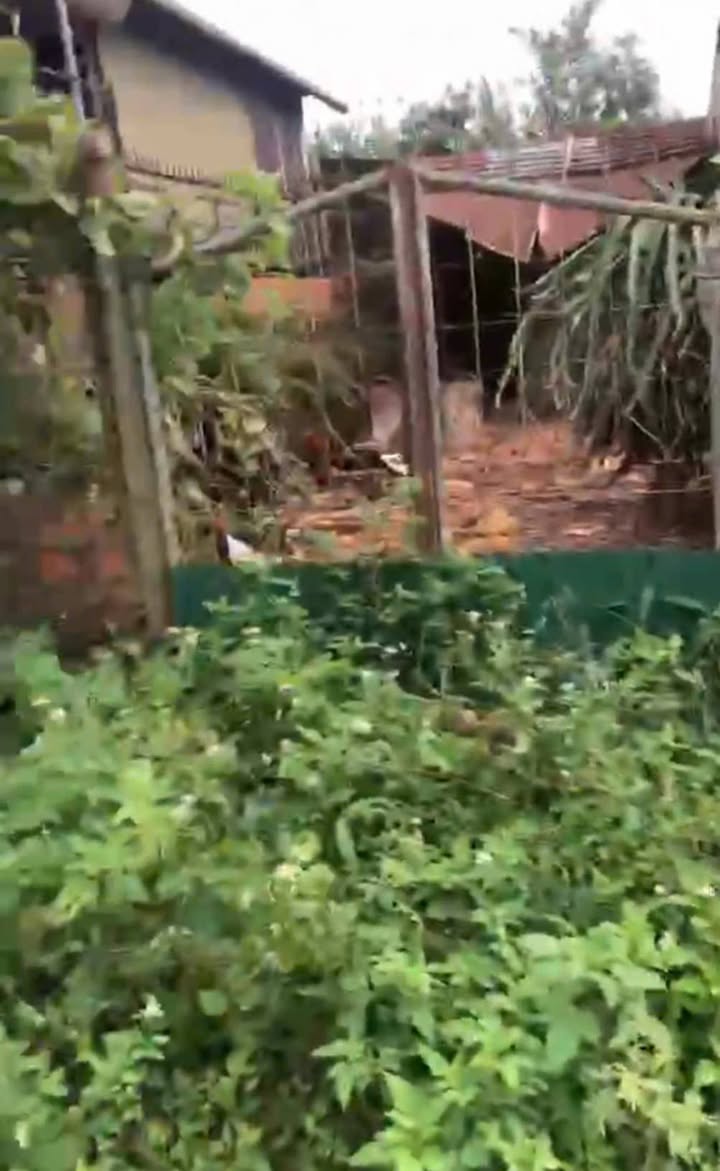 Đất Hẻm Nguyễn An Ninh, An Bình, 132m² giá 1.55 tỷ - Đầu tư sinh lời!