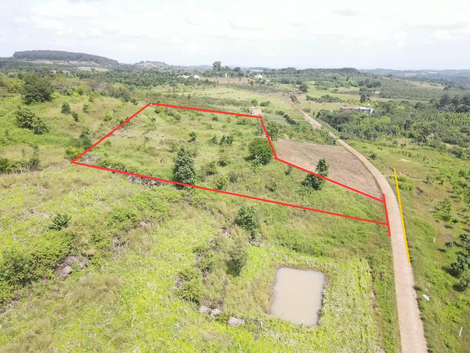 Đất nền Đắk Gằn Đắk Mil 3800m² giá chỉ 420 triệu - Đầu tư sinh lời!