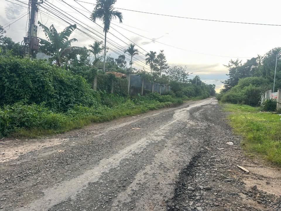 Đất Hẻm Cấp 1 Komleo, Tân Lập, 500m² Giá 2.25 Tỷ - Cơ Hội Đầu Tư Hiếm Có!