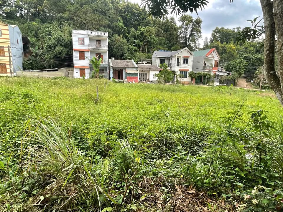 Bán đất Tân Giang, Cao Bằng 82m² giá 800 triệu - Vị trí đẹp, giao thông thuận tiện!